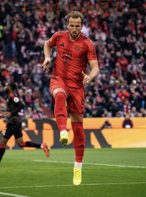 凯恩单场高分成为全场焦点 进攻效率提升成为亮点