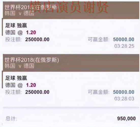 世界杯投注网站平台对比评测与选择建议